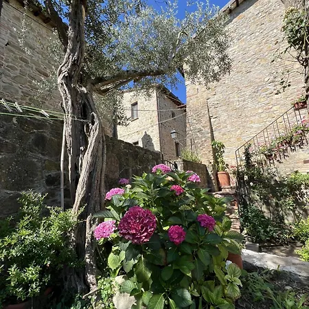 La Casina Del Borgo - Bilocale Diana Daire Perugia