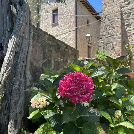 La Casina Del Borgo - Bilocale Diana Daire